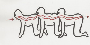 Human-Centipede